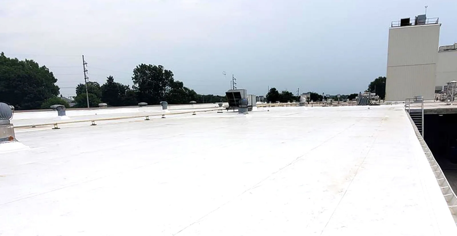 PVC membrane roofing